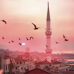 https://hale-abla-apart-evleri.hotelstrabzon.net