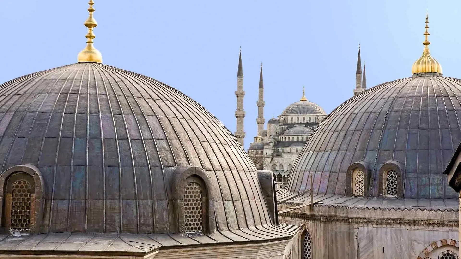 فندق إيبيس إسطنبول زيتنبورنو اسطنبول
